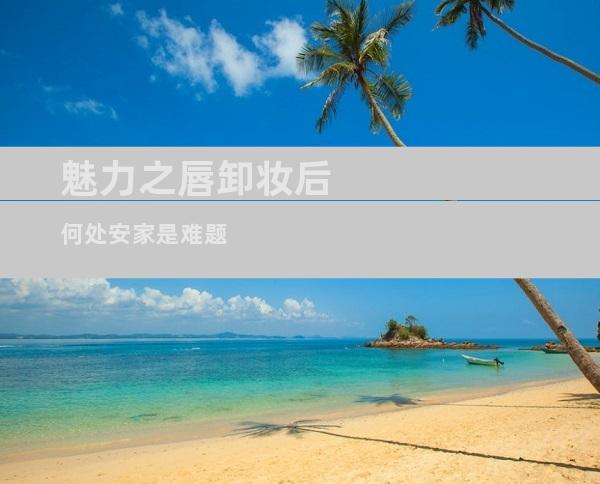 魅力之唇卸妆后 何处安家是难题